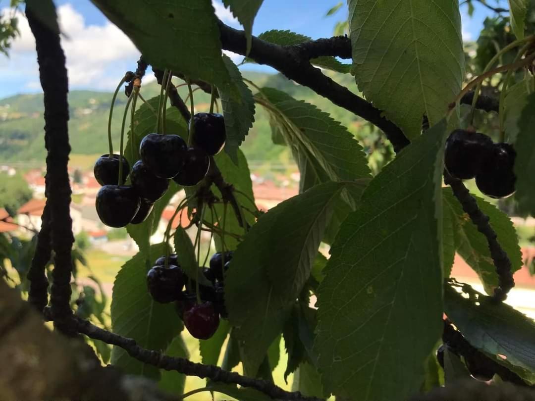 La Montagne Apartman La Bresse Kültér fotó